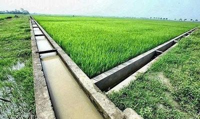 Xã Kiến Đức nâng cao hiệu quả hệ thống thủy lợi, chủ động thích ứng với biến đổi khí hậu