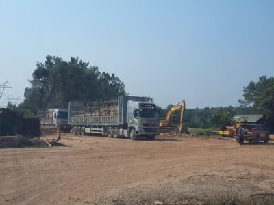 Trạm cân thu mua keo tràm 'lậu' lộng hành ở miền Trung