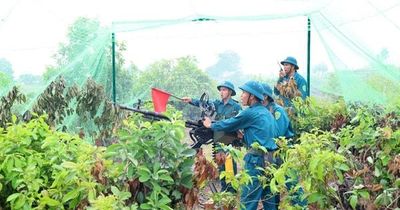 Hà Nội: Xây dựng khu vực phòng thủ vững chắc từ cơ sở