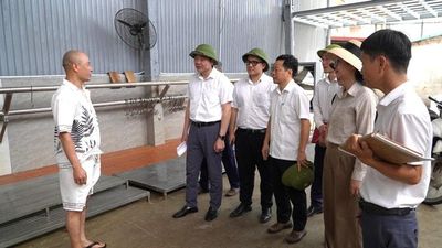 Xã Đại Xuyên đôn đốc triển khai Khu liên hợp giết mổ tập trung