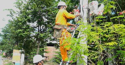 Lịch cúp điện TP. Cần Thơ từ ngày 8 – 14/6/2026: Danh sách khu dân cư bị cúp điện xếp hàng dài