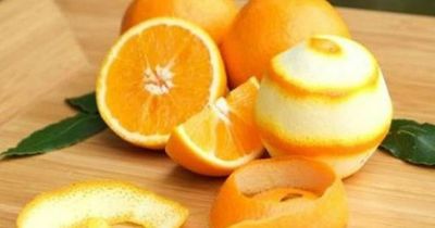 'Tuyệt chiêu' đuổi ruồi, kiến, gián ra khỏi nhà vĩnh viễn nhờ mẹo tự nhiên an toàn