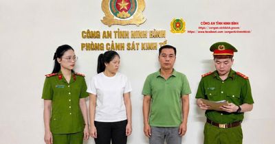Ninh Bình: Khởi tố giám đốc doanh nghiệp cây xanh sử dụng 60 hóa đơn khống để trốn thuế