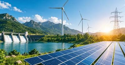 Công ty Cổ phần Năng lượng Tái tạo Đại Dương vi phạm chứng khoán