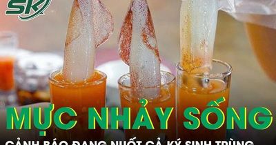 Món 'mực nhảy sống' sốt mạng xã hội, chuyên gia cảnh báo đang nuốt cả ký sinh trùng