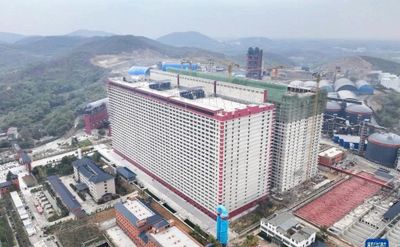 Hà Nội yêu cầu đánh giá sự phù hợp của mô hình nuôi lợn trong nhà cao tầng của Công ty BAF