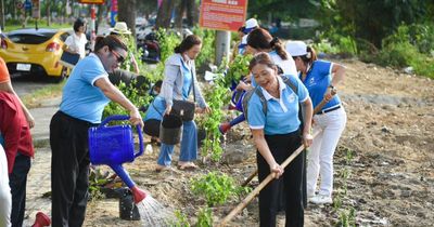 Cải tạo đất trống thành vườn xanh