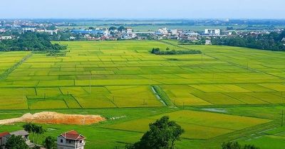 Kế hoạch triển khai cơ chế, chính sách đặc thù để xử lý vi phạm pháp luật về đất đai trước năm 2024