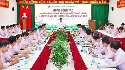 Tín dụng chính sách ở Cần Thơ lan tỏa sau sáp nhập