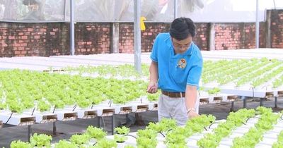 Vườn rau 4.0 của nông dân thời số