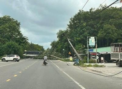 Cây xanh bật gốc kéo đổ 2 cột điện, dây điện chắn ngang đường ở TPHCM
