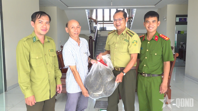 An Giang: Người dân chủ động giao nộp động vật hoang dã