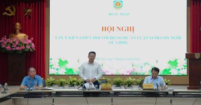Đề xuất 'siết' quy định về độ tuổi được nhận con nuôi