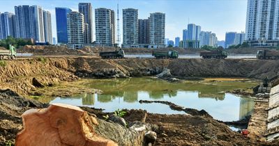Hàng loạt cây xà cừ cổ thụ bị chặt hạ bên dự án hồ điều hòa Đồng Bông 2