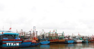 Từ Quảng Ninh đến Lâm Đồng chủ động ứng phó với vùng áp thấp trên biển