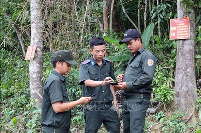 Khoảng trống trong quản lý rừng phòng hộ - Bài 1