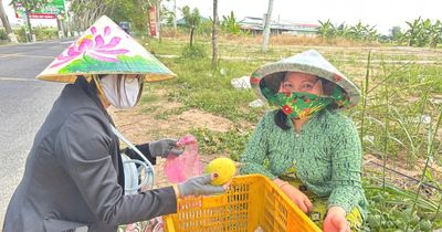 Không để xoài Cao Lãnh lâm cảnh phải 'giải cứu'