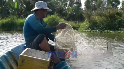 Hiệu quả từ nuôi thủy sản an toàn sinh học ở An Giang
