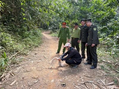 Tăng cường quản lý, bảo vệ các loài động vật hoang dã, nguồn lợi thủy sản