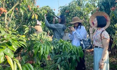 Bắc Ninh: Đồng hành với nông dân xây dựng chuỗi nông sản an toàn
