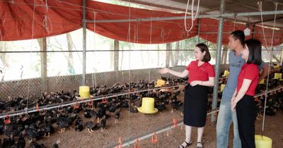 Giảm lãi suất, tăng khả năng hấp thụ vốn