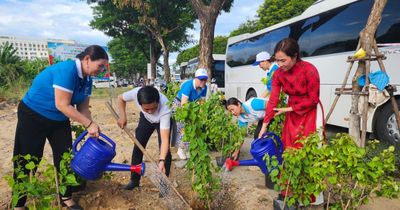 Khoác áo mới cho khu đất trống