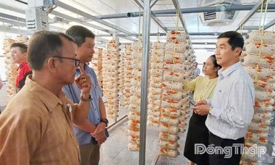 Từ ý tưởng sáng tạo, nghiên cứu khoa học đến thương mại hóa sản phẩm