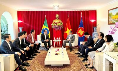 Đoàn đại biểu tỉnh Lạng Sơn thăm và làm việc tại Brazil và Chile