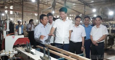 Phó Bí thư Tỉnh ủy, Chủ tịch Ủy ban MTTQ Việt Nam tỉnh Nguyễn Thế Phước kiểm tra các mô hình sản xuất tại xã Trấn Yên