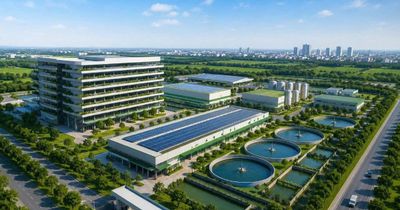 Hà Nội nghiên cứu tổ hợp chăn nuôi lợn cao tầng quy mô 220ha tại 3 xã