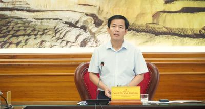 Tăng cường công tác quản lý, bảo vệ và phát triển rừng