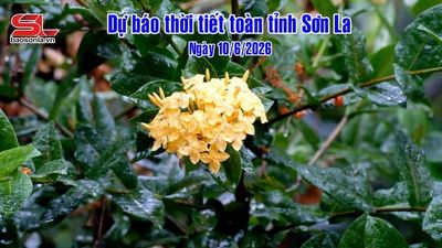 Dự báo thời tiết toàn tỉnh Sơn La ngày 10/6/2026