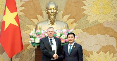 Phó Chủ tịch Quốc hội Nguyễn Hồng Diên tiếp Đoàn Hội đồng Năng lượng gió toàn cầu