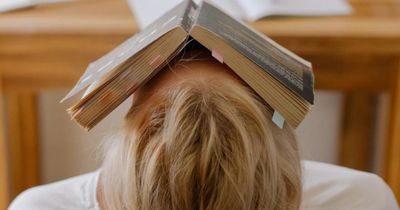 Mùa thi ăn gì để não bộ 'chạy hết công suất'?