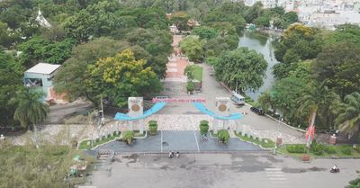Dưới những tán cây xanh, ký ức vẫn chưa ngủ yên