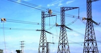 Chủ tịch vướng lao lý, Tư vấn Xây dựng Điện 2 (TV2) thay loạt nhân sự cấp cao