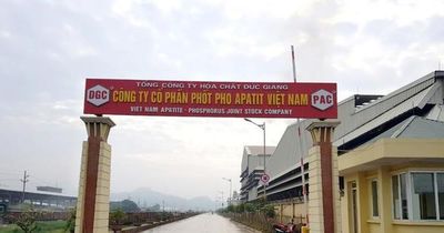 Phốt pho Apatit Việt Nam (PAT) đưa phương án khắc phục tình trạng chứng khoán vào diện hạn chế giao dịch