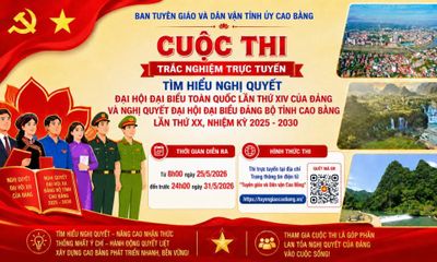 3 tập thể, 11 cá nhân đạt giải Cuộc thi tìm hiểu nghị quyết của Đảng