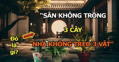 Người xưa dặn: 'Trước sân không trồng 3 cây, trong nhà không treo 3 vật', chớ có làm sai