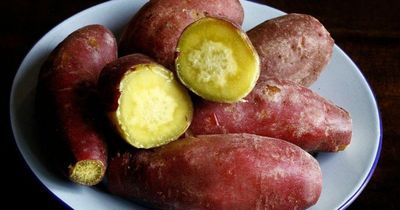 2 khung giờ ăn khoai lang giúp giảm cân hiệu quả, rất tốt cho đường huyết