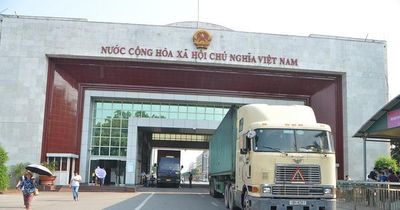VCCI đề xuất giải pháp giảm chi phí khai báo điện tử cho doanh nghiệp