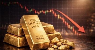 Nửa cuối năm 2026, cân nhắc lựa chọn kênh đầu tư hiệu quả, an toàn