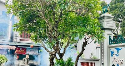 Phú Thượng chủ động phòng dịch trong mùa mưa