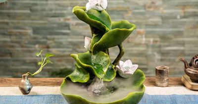 Chỉ một sai lầm khi đặt thác nước phong thủy có thể khiến tài lộc 'chảy mất', nhiều nhà mắc phải mà không biết