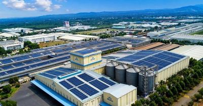 Cổ phiếu HPA được BSC khuyến nghị theo dõi