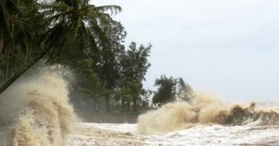 Biển Đông vừa xuất hiện vùng áp thấp, các địa phương khẩn trương ứng phó