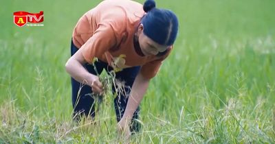 Hà Nội hỗ trợ 100% mức đóng BHXH tự nguyện cho hộ nghèo, cận nghèo
