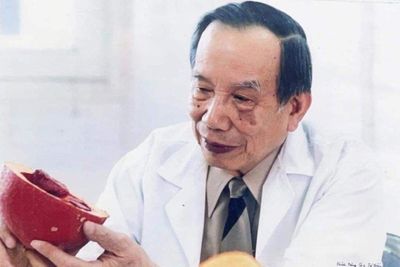 Giáo sư Từ Giấy: Người tiên phong viết về sức khỏe cho đại chúng