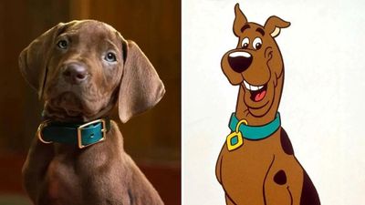 Chú chó Scooby-Doo trong phiên bản phim người thật đóng gây tranh cãi