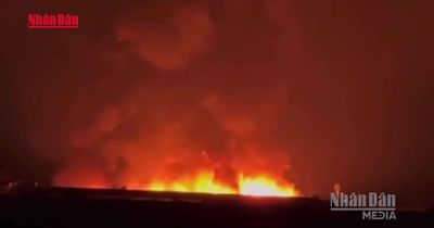 [Video] Điều tra nguyên nhân vụ cháy lớn tại công ty chế biến gỗ ở Thành phố Hồ Chí Minh